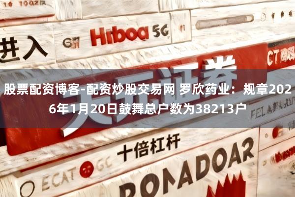 股票配资博客-配资炒股交易网 罗欣药业：规章2026年1月20日鼓舞总户数为38213户